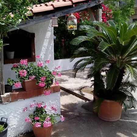 Maison Romantique Санта-Мария-ди-Кастеллабате Номер фото